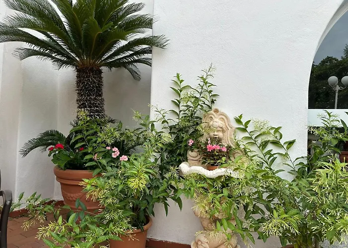 Hotel Park Calitto