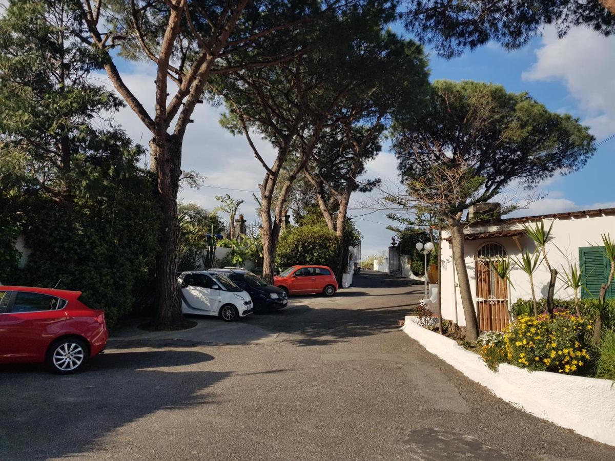 Hotel Park Calitto 3*