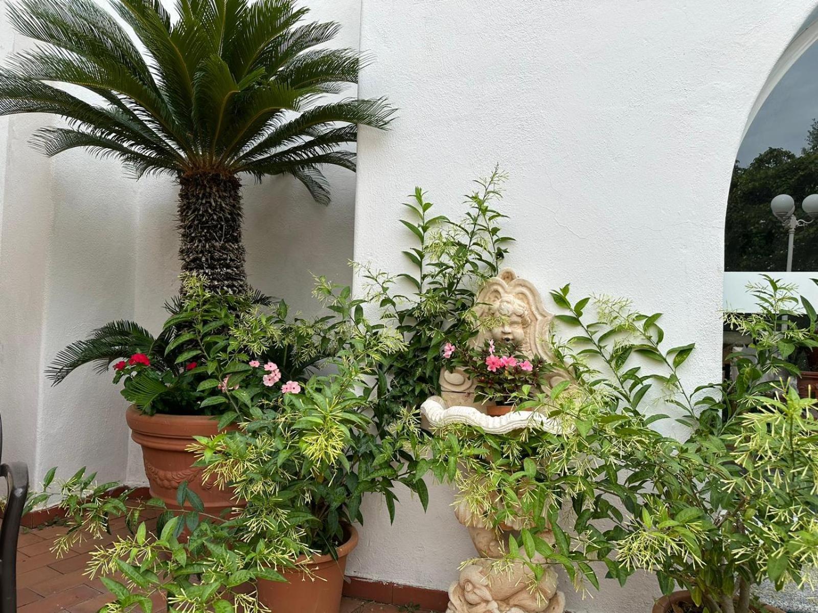 Park Calitto 3* Forio (Isola d'Ischia)