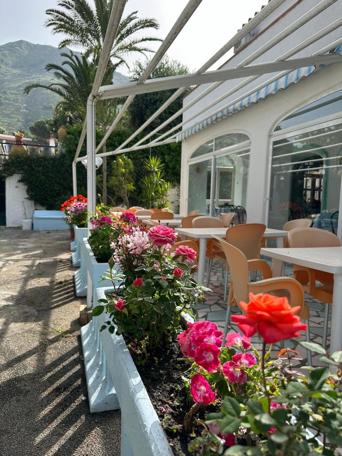 Park Calitto