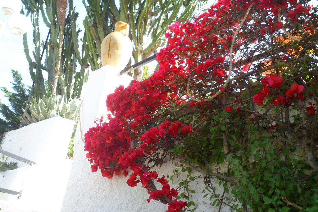 Hotel Park Calitto 3*