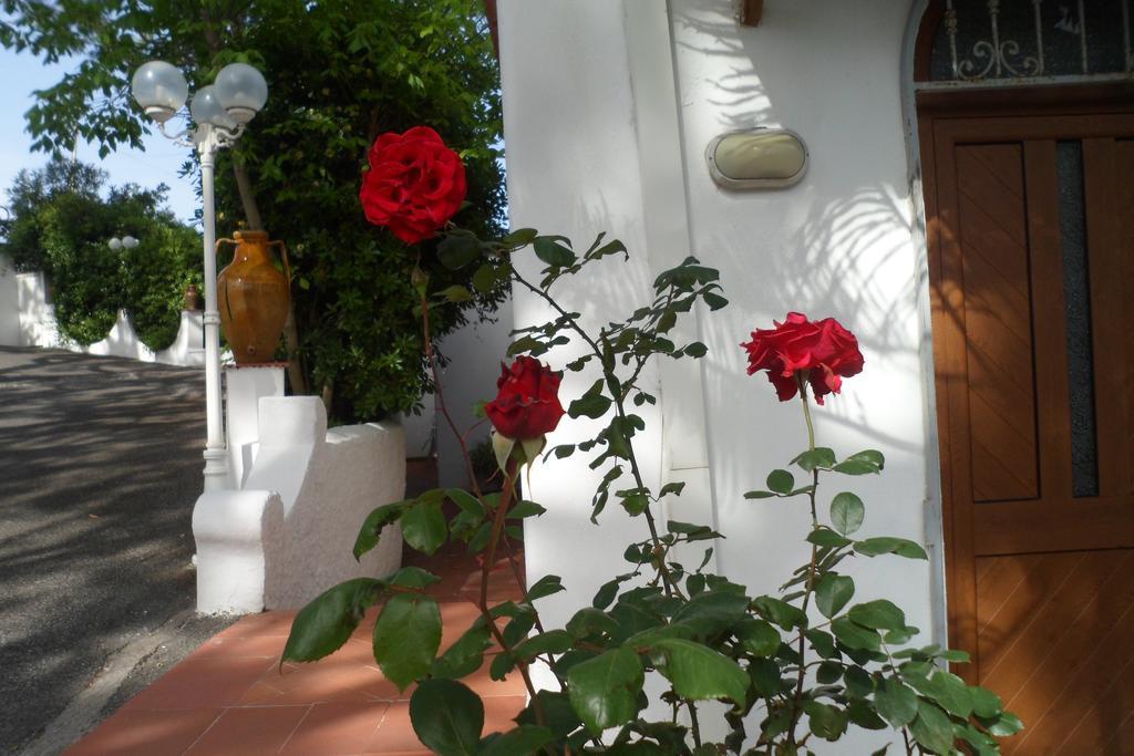 Hotel Park Calitto