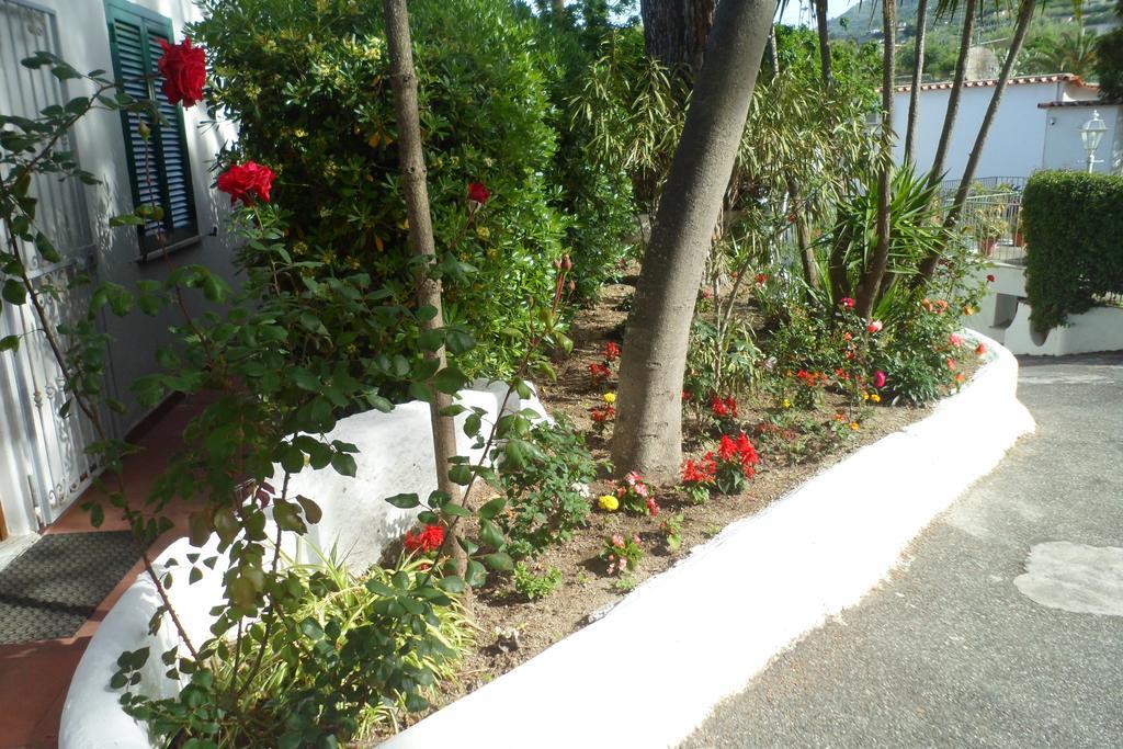 Park Calitto Forio di Ischia