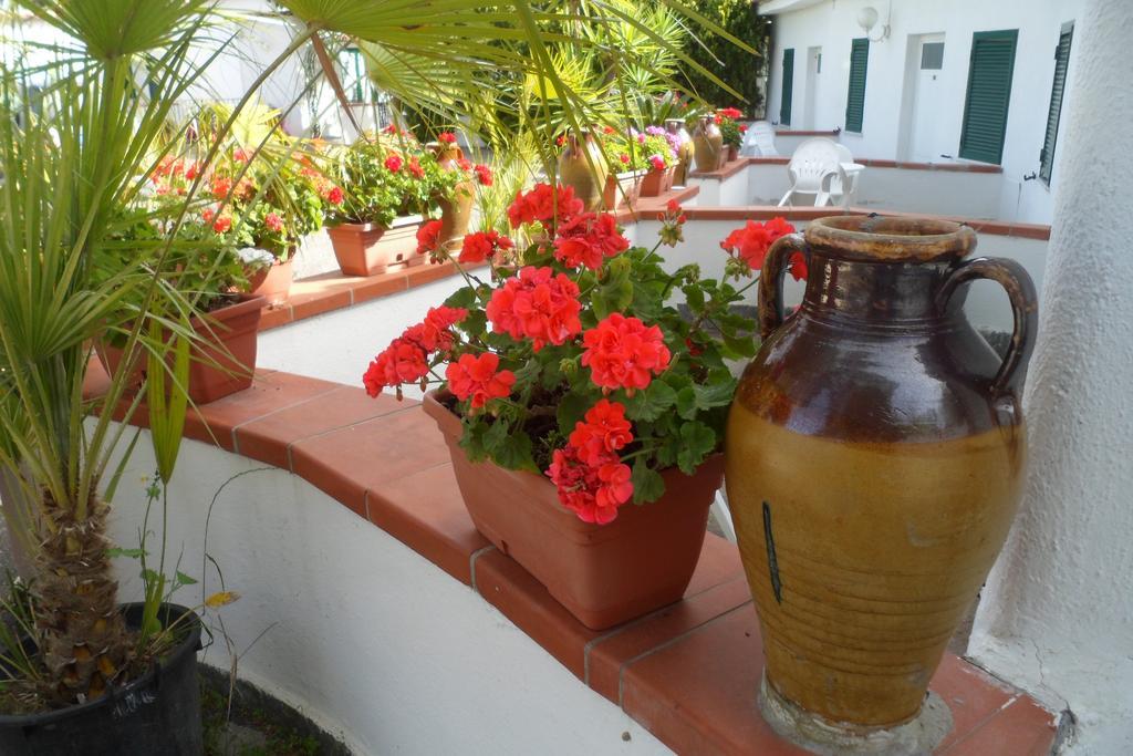 Hotel Park Calitto Forio (Isola d'Ischia)