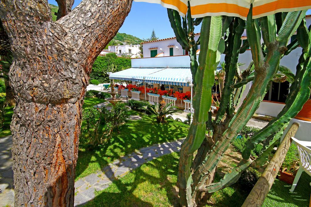 Park Calitto